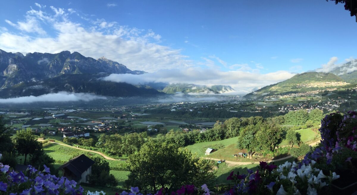 Panorama 2