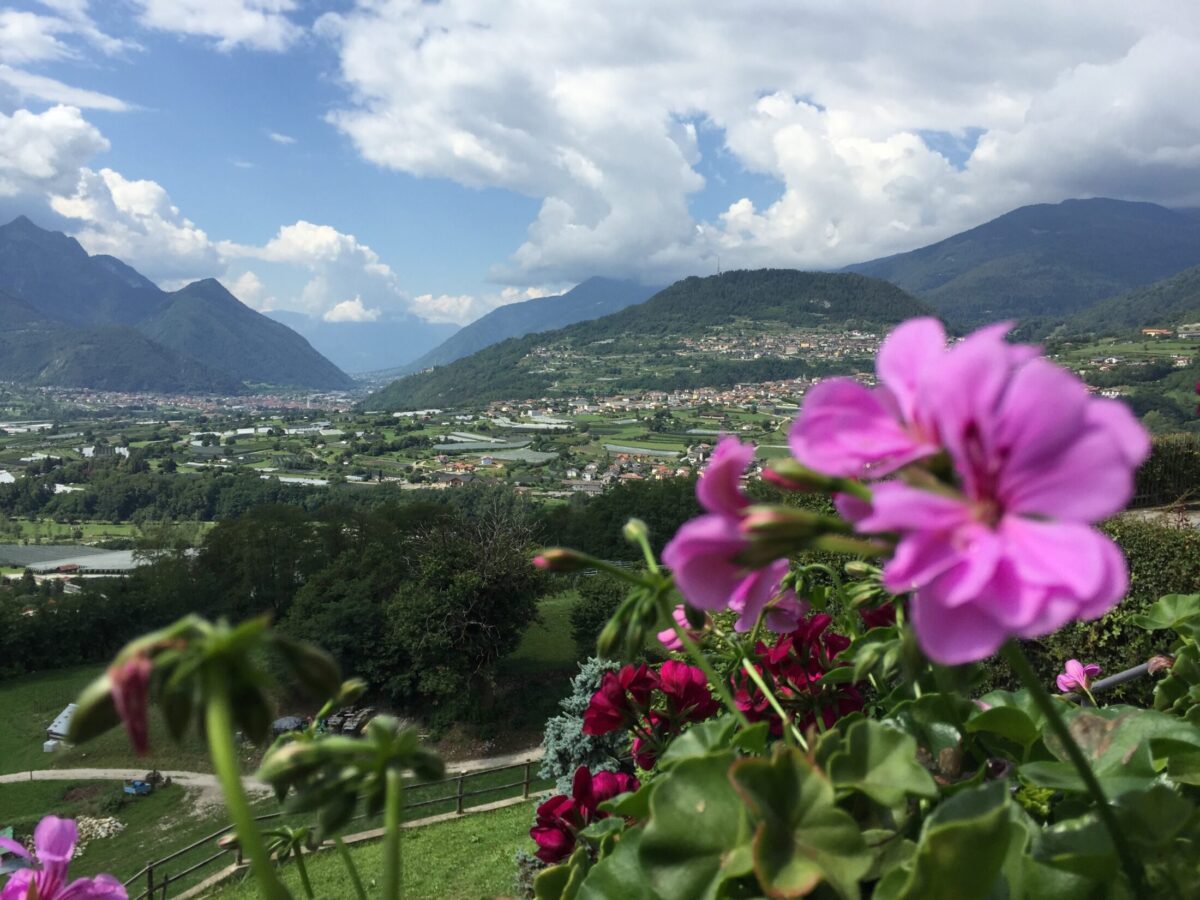 Panorama 1