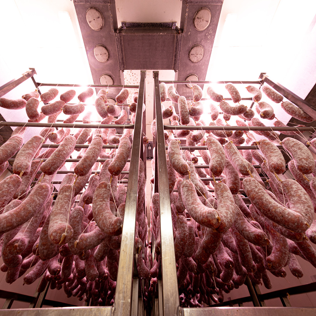 SALUMI01_LIGHT2